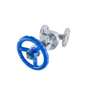 Dark Stem Function SS304 316 Stainless Steel Flange Gate Valve Oed Customized