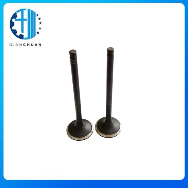 Exhaust Valve 6204414210 4982909 4982895 For B3.3 Excavator Engine Spare Parts
