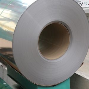 2205 Cold Rolled / Hot Rolled Stainless Steel Strip Coil 309S 310S 201 304