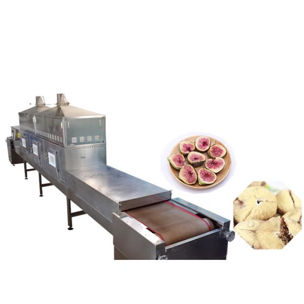 Buy 120kw Power Sus Structure Food Sterilization Equipment Microwave For Multifunctional at wholesale prices