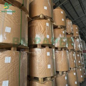 240g + 18g PE Coated Cup Stock Paper Matte Finish One Side Custom Roll Wide