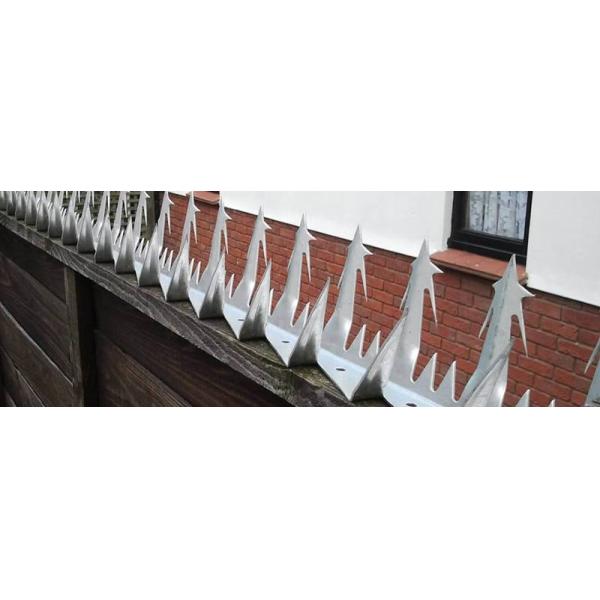 Anti Climb PVC Coated Wall And Fence Spikes Public Residential Military