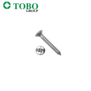Stainless Steel Self Tapping Screws DIN7983 Cross Recessed Raised Countersunk