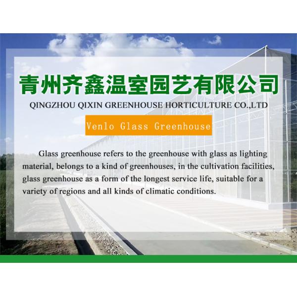Good Light Permeability Essential for Venlo Glass Greenhouse in Agricultural Industry
