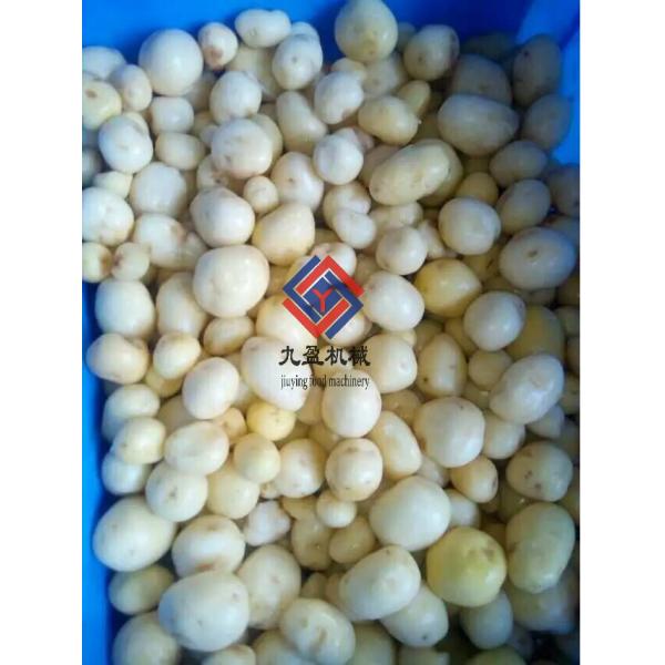 Cassava / Ginger / Potato Washing And Peeling Machine Energy Efficiency