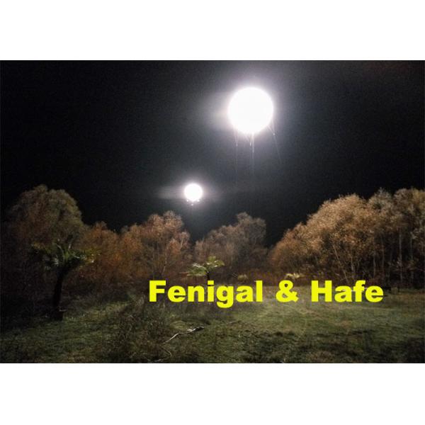Buy Shine Moon Flying 12.5Ft 4000W Helium Balloon Lights at wholesale prices