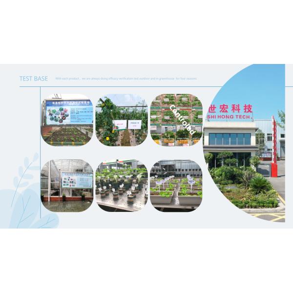 Potassium Glutamic Acid Fertilizer Enhancer Glutamate 80% Potasium 15%