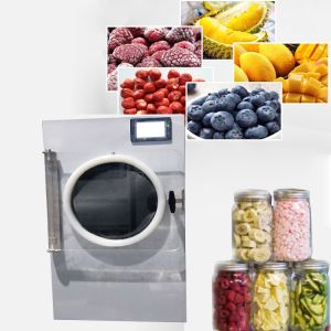 SUS304 Vacuum Freeze Dryer For Fruit Vegetable 1.75Kw