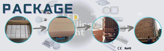 100W Surface Mount Canopy Lights Metal Housing For Buildings Environment Friendly