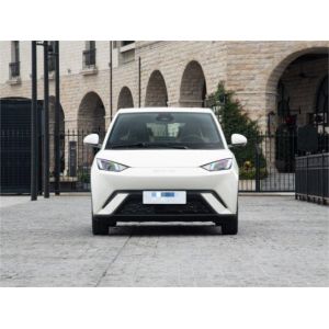 Yellow Byd Seagull Hatchback Vehicle Automobile Pure Electric 5 Seat