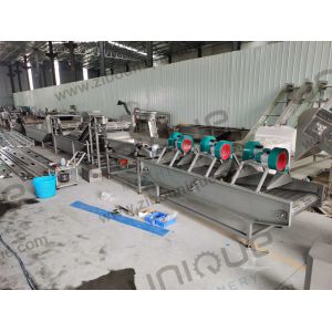 1.5kw Vegetable Blanching Equipment for Plantains and Coconuts Customized