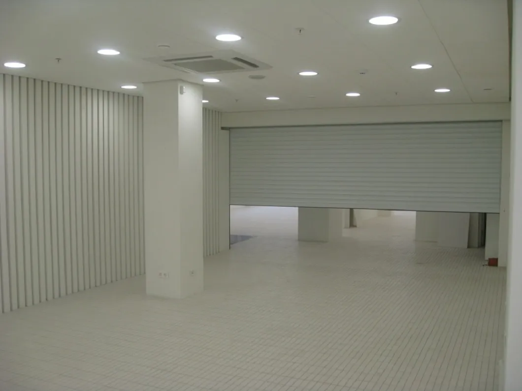 Residential, Commercial, Industrial Aluminum Roller Shutter Door (HA65)