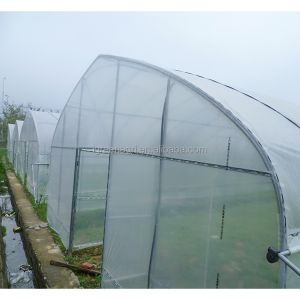 150Micron Single Span Greenhouse Customizable Plastic Film Greenhouse