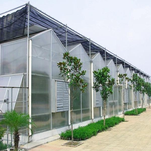 Buy Hot Dipped Galvanized Steel 7.5m PC Sheet Greenhouse at wholesale prices
