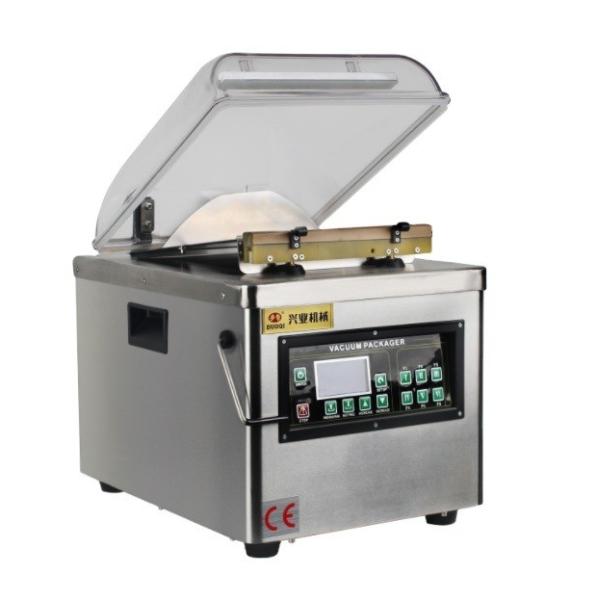 DUOQI DQVC-260PD Automatic Commercial Packing Sealer for Single Flat Chamber