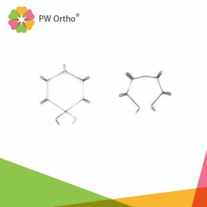 Super Elastic Anterior Root Torque Spring Lower Small