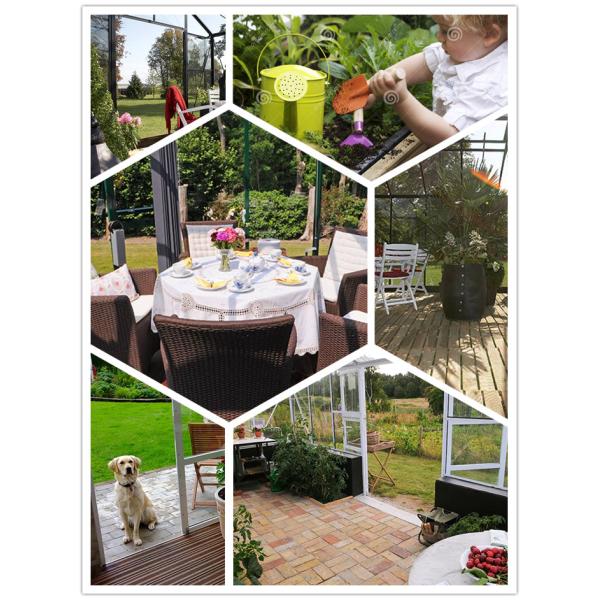 G-MORE Hexagon Greenhouse internal.jpg