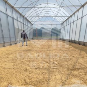 High Tunnel Greenhouse With Durable Steel Structure For Farming