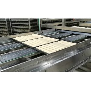 304 Stainless Steel Straight Pan Conveying Slat Chain Conveyor