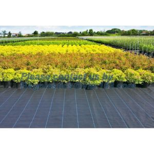 Water management weeb control pavement preservation courtyard beautify anti