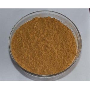 Herb Medicine Cinnamomum Cassia Bark Extract, Cinnamomum Extract, Cinnamomum