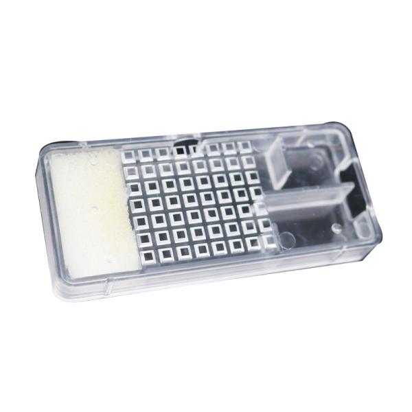 Transparent Clear Queen Bee Cage With Foam Queen Introduction Cage for Beekeeping