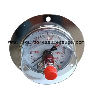 Back Mount 5800psi Magnetic Pressure Gauge With Brass Internal