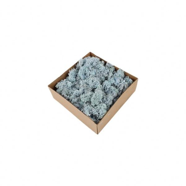 Buy Stabilized Valentine Gift Preserved Natural Moss In Box at wholesale prices