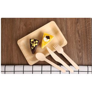 Biodegradable Rectangular Disposable Wooden Plates tableware 200×125×20mm