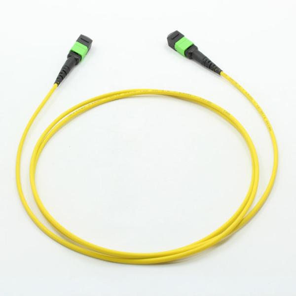 Male / UPC MPO Patch Cord Compact SMF 2 - 24 Cores IS0 / ROHS Listed Durable
