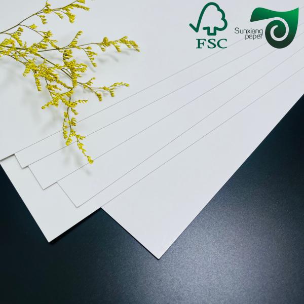 250gsm Single-Sided Coated Freezer Paper Roll 420μM Food Packaging