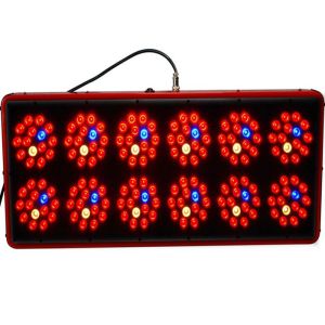 Cidly led grow light, led grow lamp, grow light led, used hydroponics system