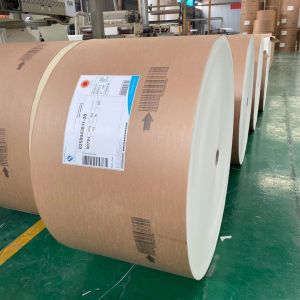 330 Gram Waterproof Coated Paper Flexo Double PE Coated Paper