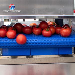 Leaves Leafy vegetables Cabbage varieties Herbs Fruiting vegetables Vegetables