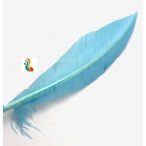 25-30cm Stripped Colored Turkey Feathers Quill Dyed For Decorative