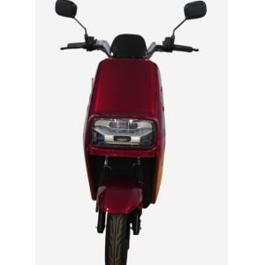 LY-JAN11Electric motorcycle Electric bicycle adult electric scooter