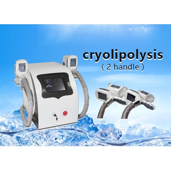 Buy Portable two Handles Cryolipolysis Slimming Machine , Body Sculpting Machine at wholesale prices