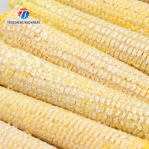 220V/380V Automatic Corn Thresher Sweet Corn Sheller Machine TS-W168
