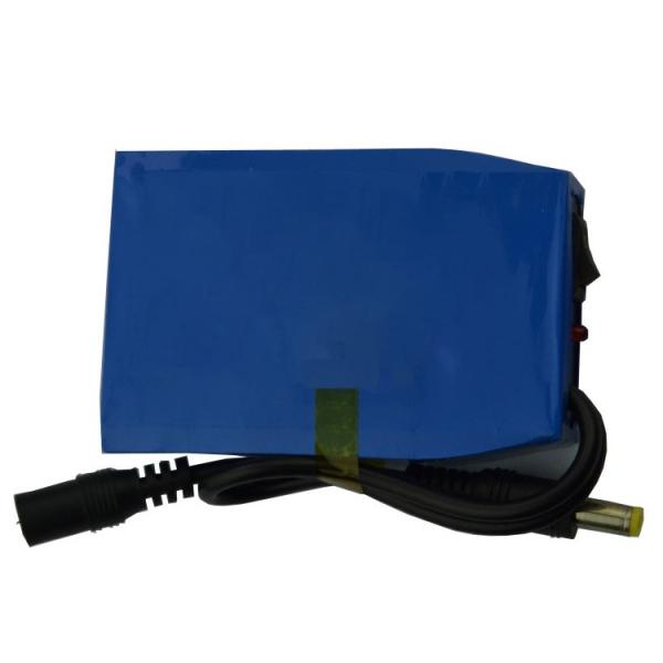 1000 Cycle MSDS 2600mAh 12V Lipo Battery Pack