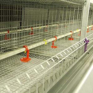 Rigid Q235 Steel Baby Chick Cage Multi Doors High Performance For Farm