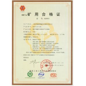 Shanghai Rotorcomp Screw Compressor Co., Ltd Certifications
