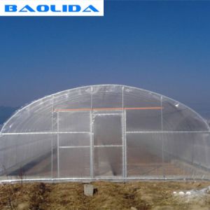 Quality Custom Good Stability Tunnel Plastic Greenhouse With Metal Greenhouse Frame for sale