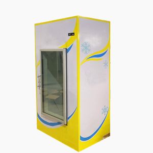 China Single Door Ice Storage Freezer Ice Merchandiser for Indoor CE on sale