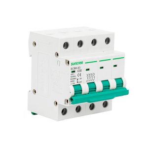 Double Pole 6kA 63 Amp IEC60898 Mcb For Ac