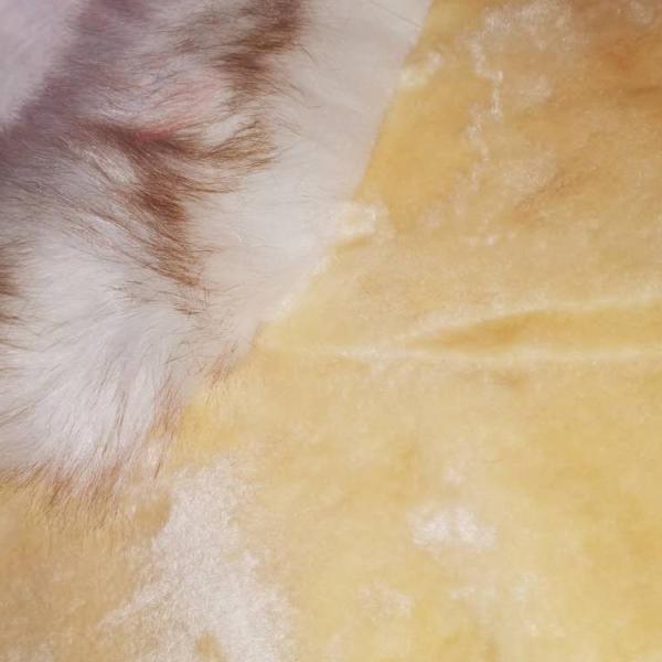 Buy Sculptured Chair Genuine Sheepskin Cushion Pads Carpets Special Shaped at wholesale prices