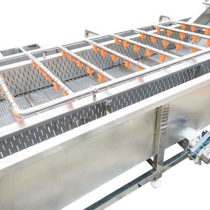 500kg/h industrial fruit washing machine