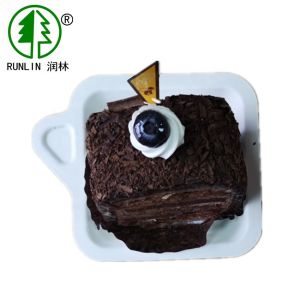 Rectangular Eco Friendly Biodegradable Sugarcane Bagasse Plates Birthday Party