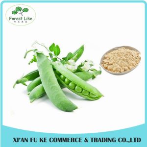 Hot Selling Nutritional Superstar Product Garden Pea Extract