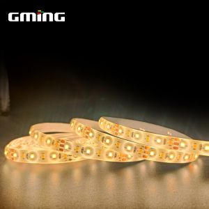 UL Approved 2835 LED Strip Adhesive Dripping Waterproof Lamp With 12V/24V