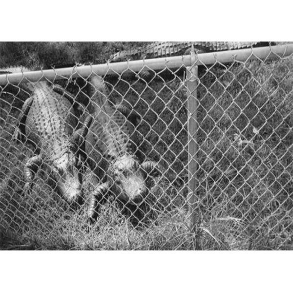 Buy Easy To Install 4mm 4m Length Galvanized Chain Link Fence at wholesale prices